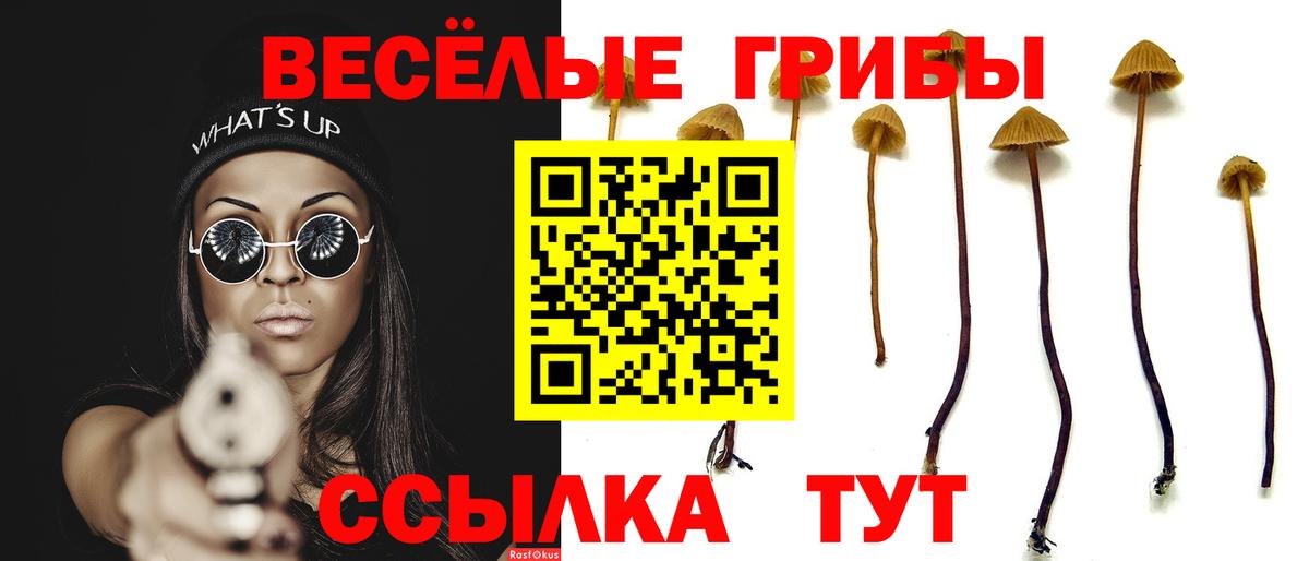 Псилоцибиновые грибы MAGIC MUSHROOMS Лысьва